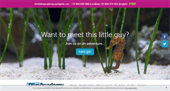 Desktop Screenshot of diveacademy-santapola.com